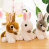 1pc Cute Bunny Doll(7.87"Ã—7.87'); Easter Bunny Gifts; Holiday Party Gifts; Birthday Gifts